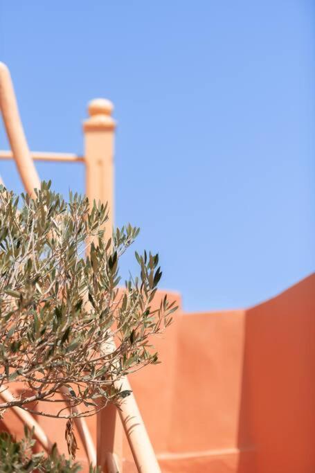 Riad Le Petit Bacha Marakeş Dış mekan fotoğraf